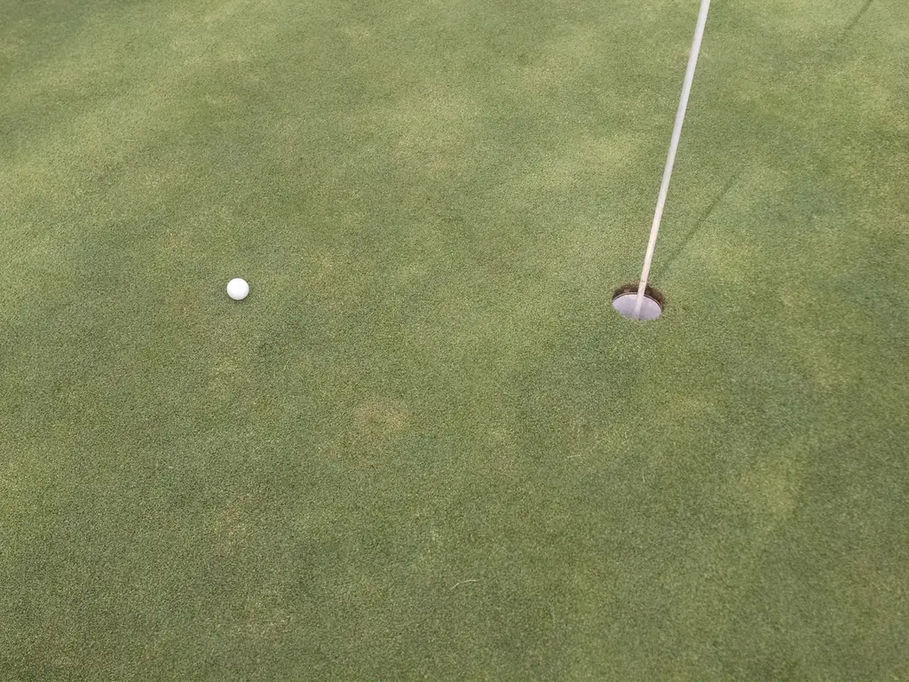 What a Round Costs, and When a Membership Starts Making Sense